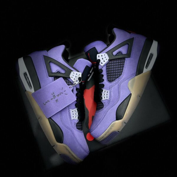 Air Jordan 4 Retro Canyon Purple