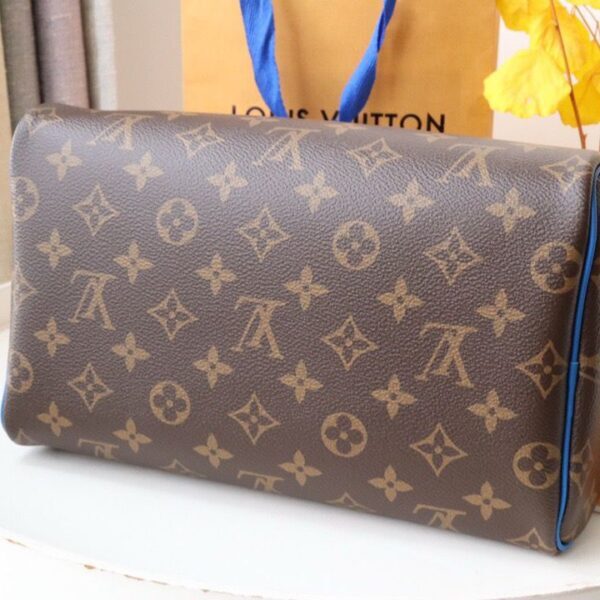 Louis Vuitton Monogram Macassar