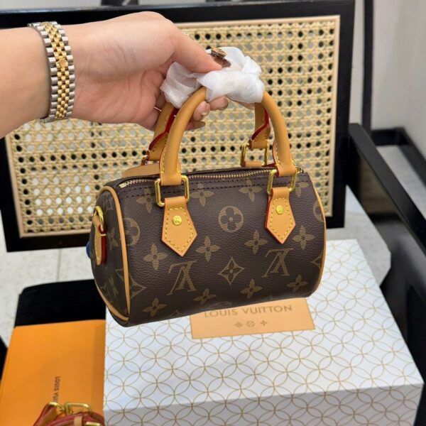 Louis Vuitton Speedy 20 New York