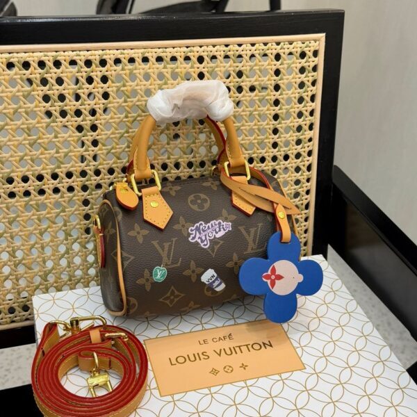 Louis Vuitton Speedy 20 New York