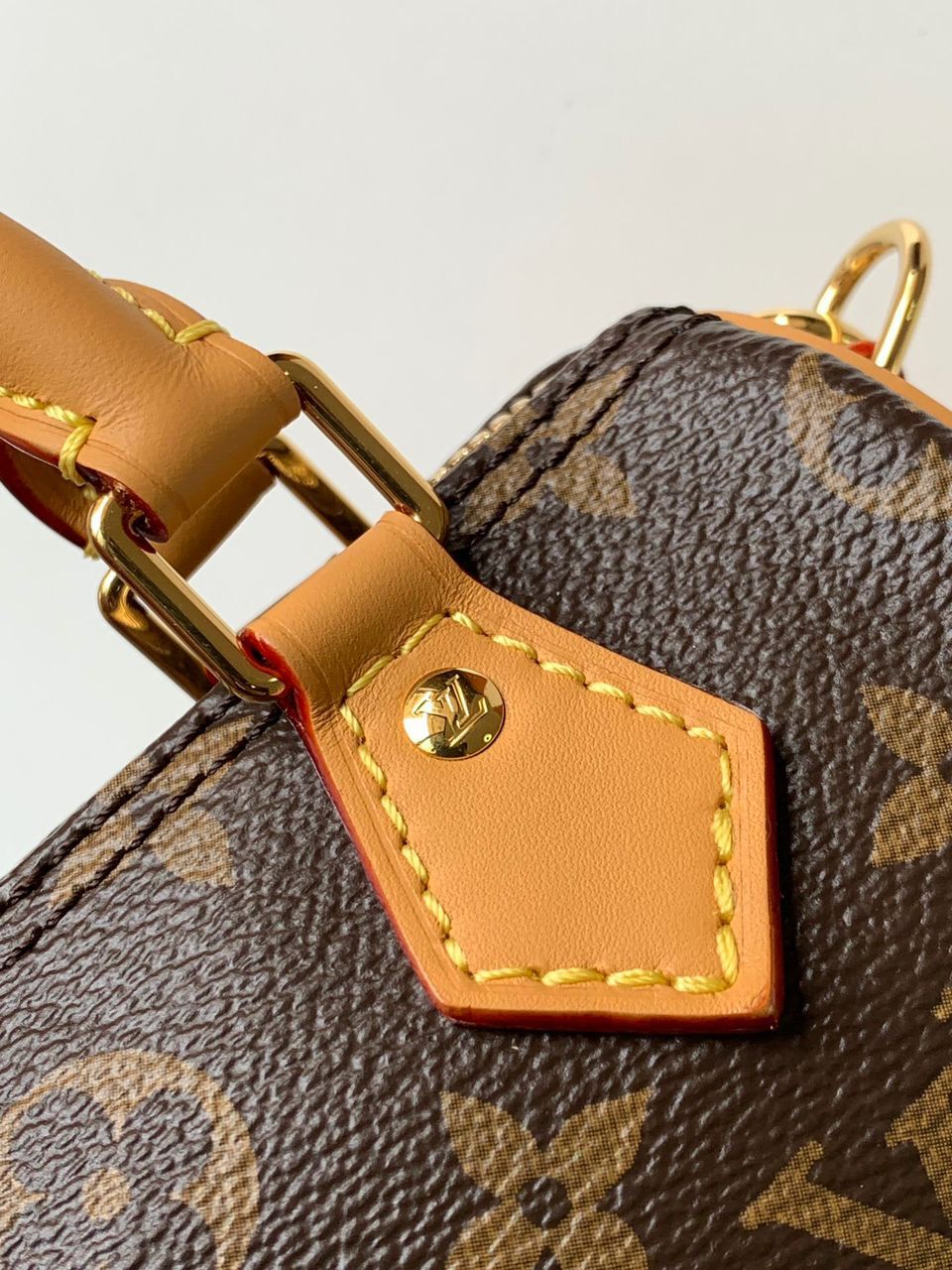 Louis Vuitton Nano Speedy Monogram Brown