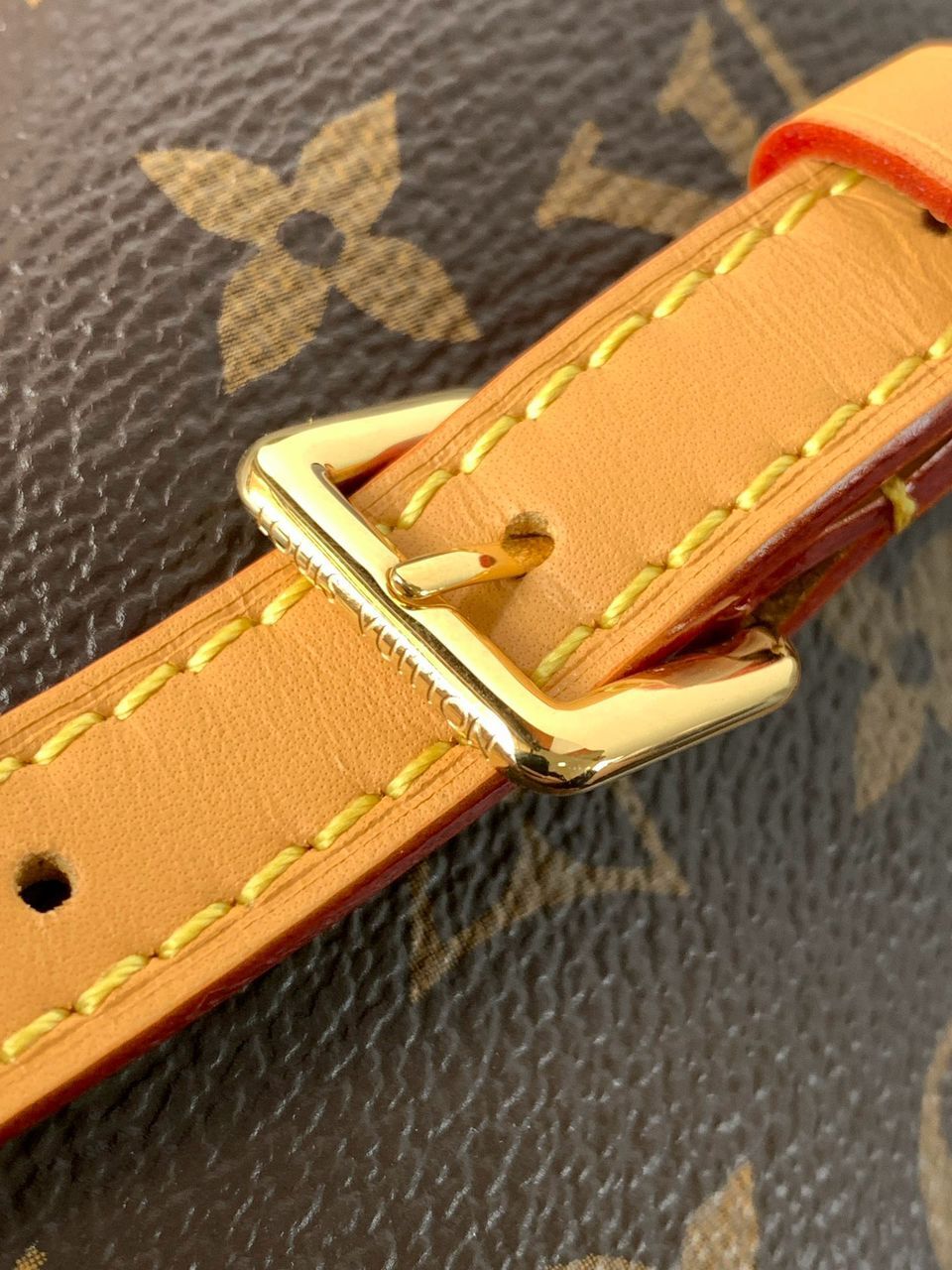 Louis Vuitton Nano Speedy Monogram Brown