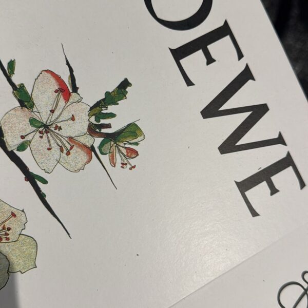 Loewe Flamenco Dark Burgundy Medium