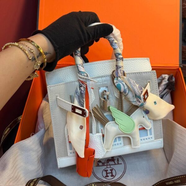 Hermes Birkin 20 Bag "White"