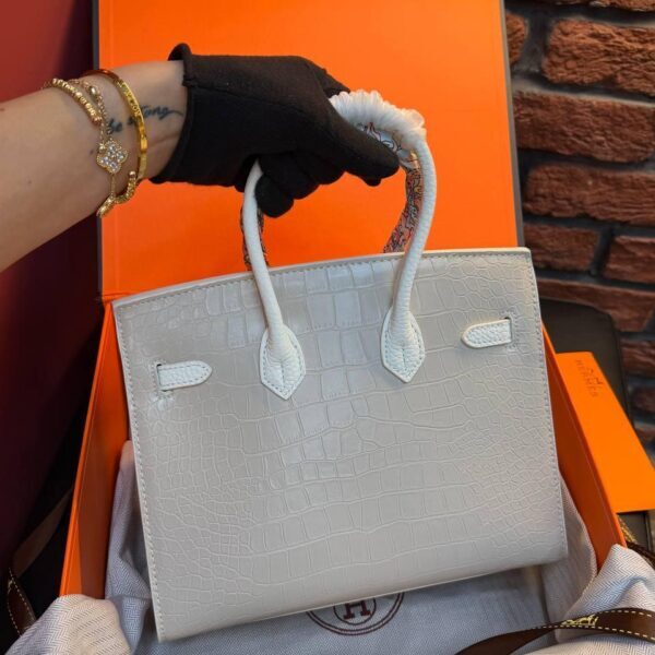 Hermes Birkin 20 Bag "White"