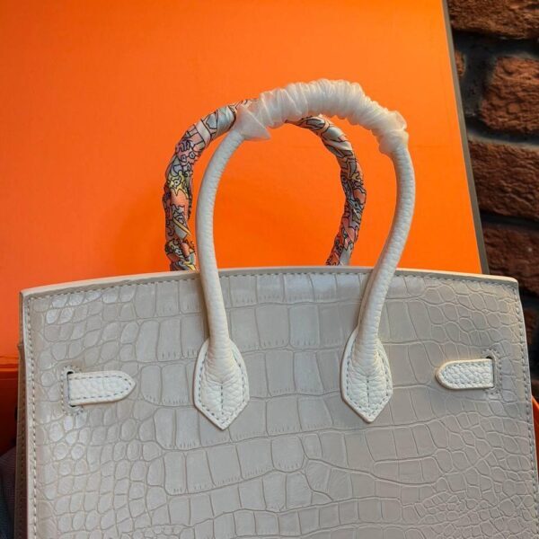 Hermes Birkin 20 Bag "White"