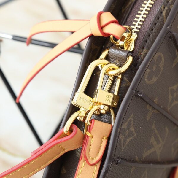 Louis Vuitton Fan Monogram Bag