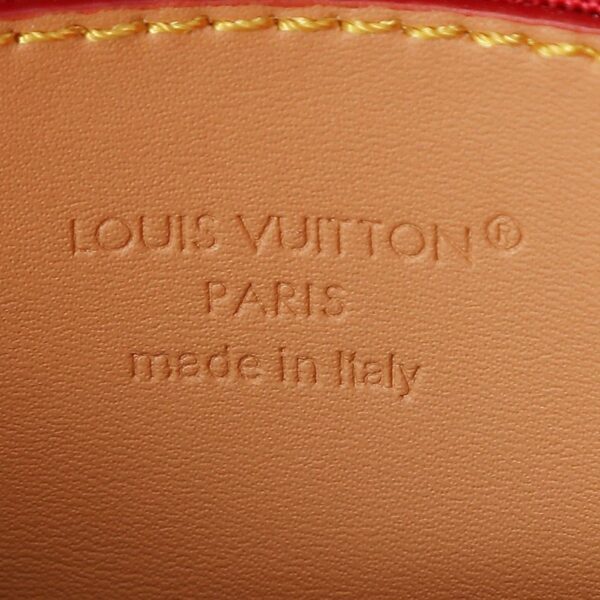 Louis Vuitton Fan Monogram Bag