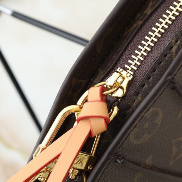 Louis Vuitton Fan Monogram Bag