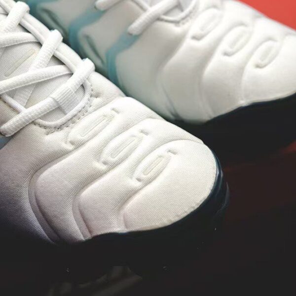 Nike Air VaporMax Plus Blizzard